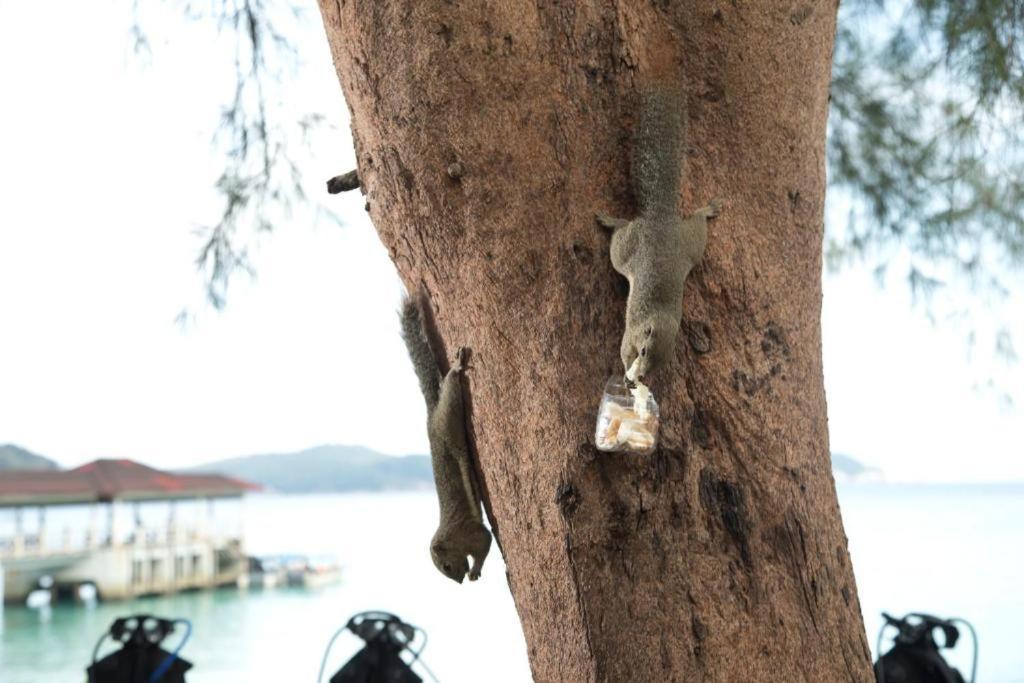 Perhentian Island Resort Ngoại thất bức ảnh