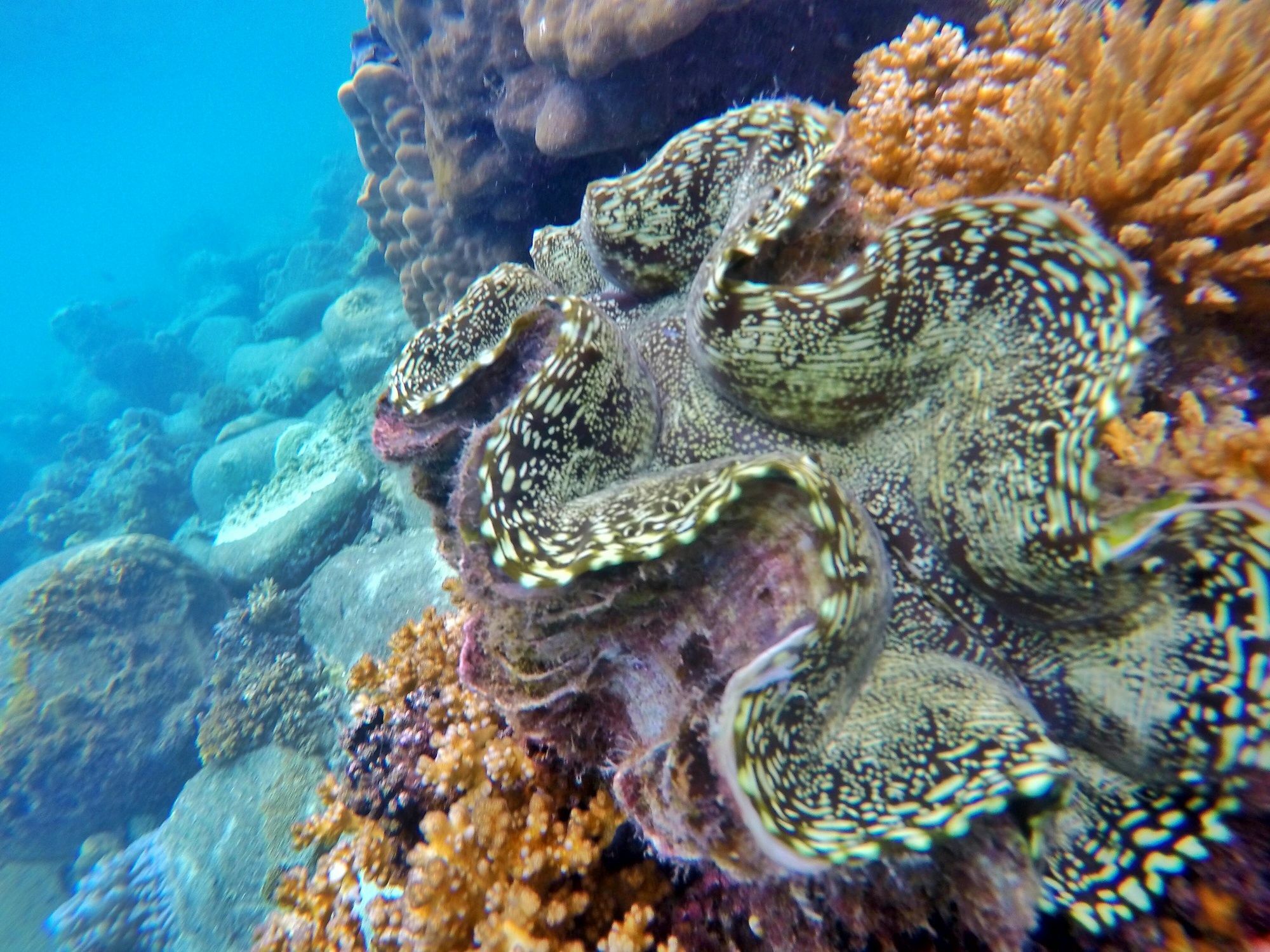 Perhentian Island Resort Ngoại thất bức ảnh
